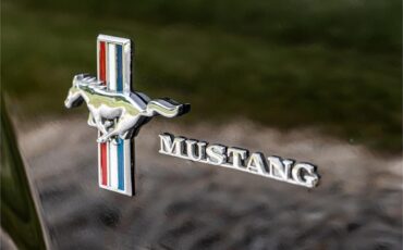 Ford-Mustang-1965-Raven-Black-Red-88