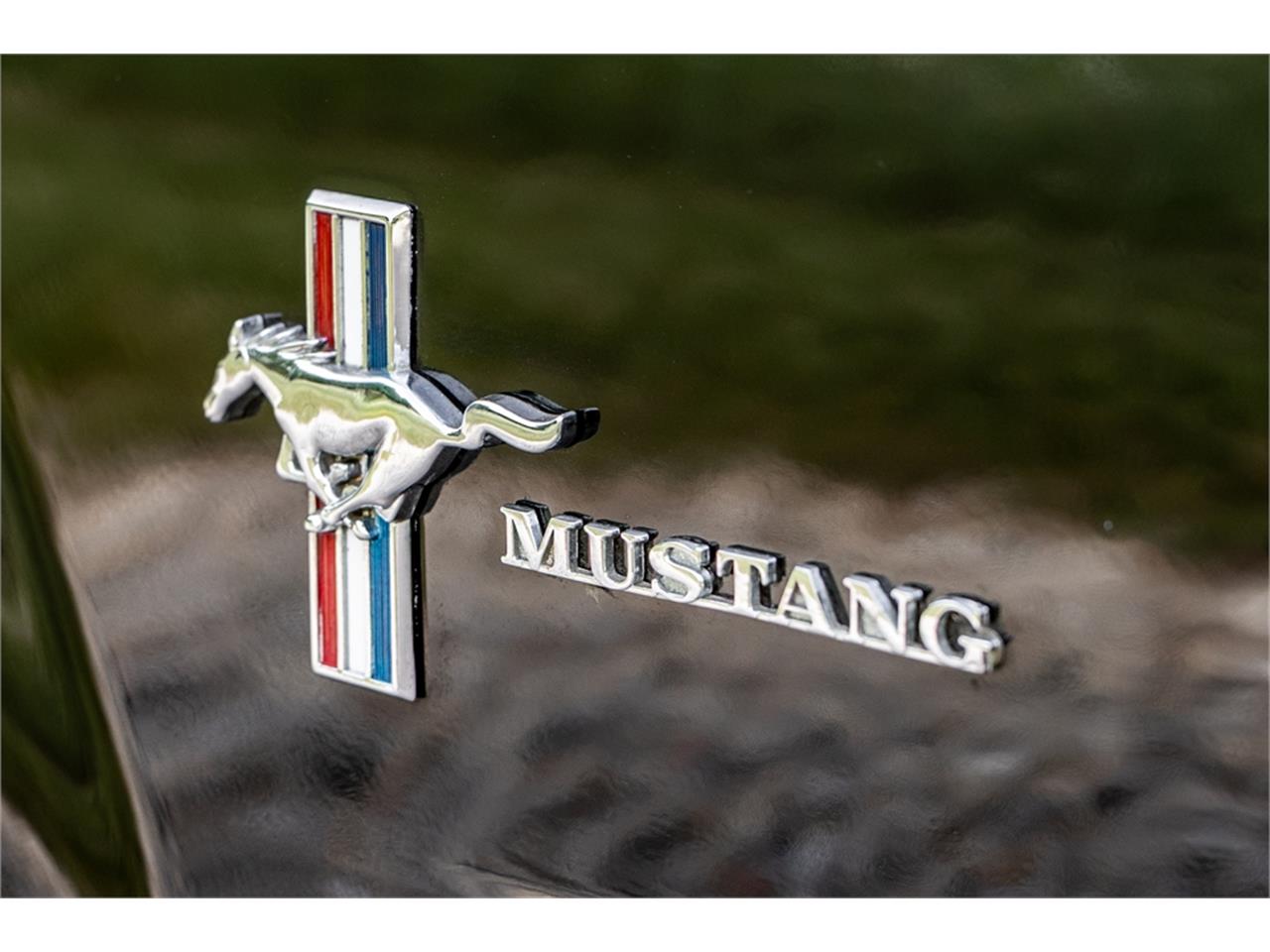 Ford-Mustang-1965-Raven-Black-Red-88