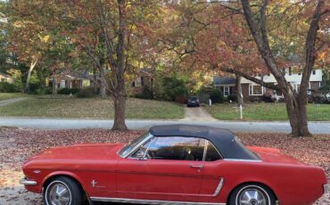 Ford-Mustang-1965-Red-Pony-Package-Black-19