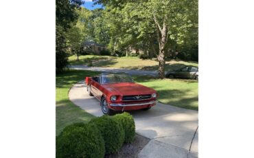 Ford-Mustang-1965-Red-Pony-Package-Black-29