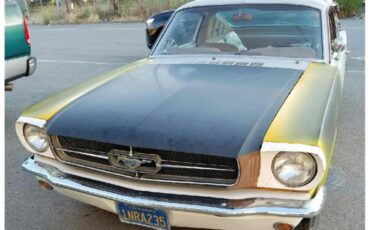 Ford-Mustang-1965-Unspecified-Brown-11