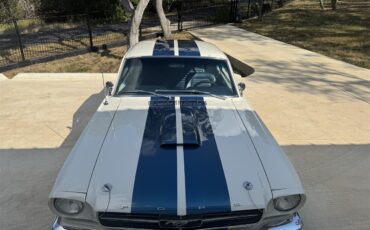 Ford-Mustang-1965-Wimbledon-White-Ford-Dark-Blue-2