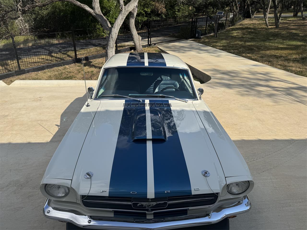 Ford-Mustang-1965-Wimbledon-White-Ford-Dark-Blue-2