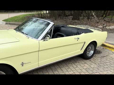 Ford-Mustang-1965-Yellow-Black-10