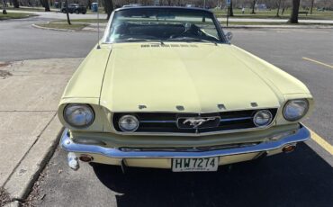 Ford-Mustang-1965-Yellow-Black-13