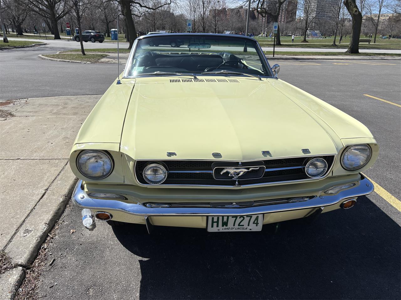 Ford-Mustang-1965-Yellow-Black-13