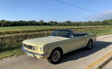 Ford-Mustang-1965-Yellow-Black-8