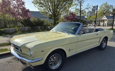 Ford-Mustang-1965-Yellow-Black-9