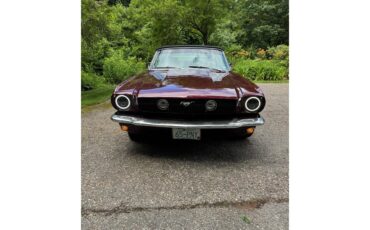 Ford-Mustang-1965-maroon-Grey-1