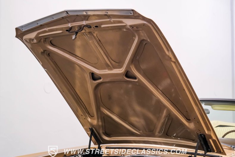 Ford-Mustang-1966-Antique-Bronze-Palomino-24