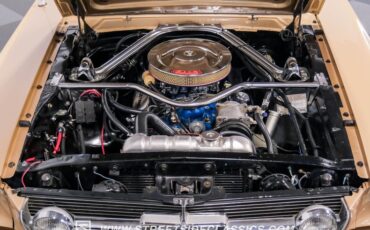 Ford-Mustang-1966-Antique-Bronze-Palomino-48