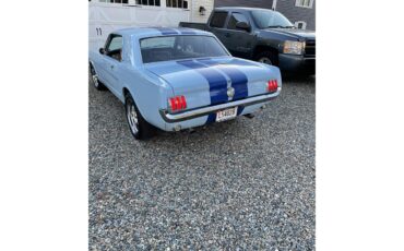 Ford-Mustang-1966-Arcadian-Blue-Black-1
