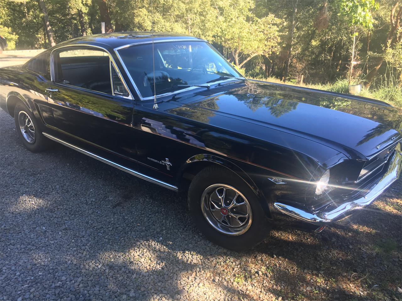 Ford-Mustang-1966-Black-Black-1