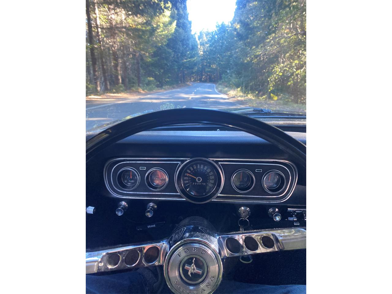 Ford-Mustang-1966-Black-Black-6