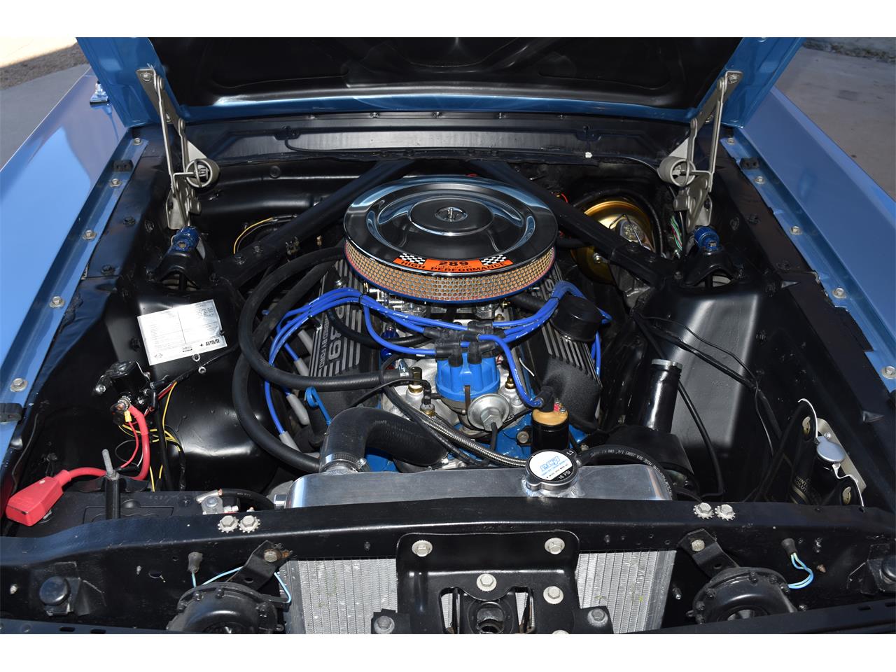 Ford-Mustang-1966-Blue-Black-16