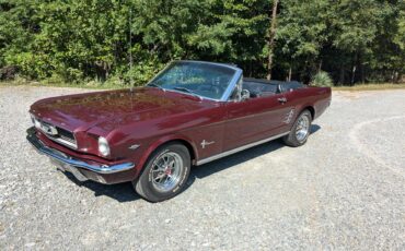 Ford-Mustang-1966-Burgundy-Black-1