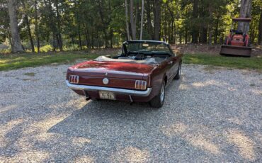Ford-Mustang-1966-Burgundy-Black-2