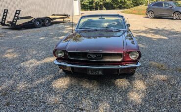 Ford-Mustang-1966-Burgundy-Black-3