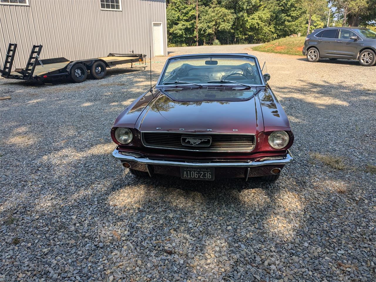 Ford-Mustang-1966-Burgundy-Black-3