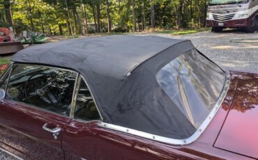 Ford-Mustang-1966-Burgundy-Black-5