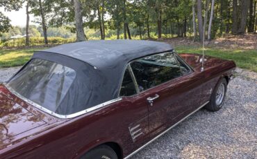 Ford-Mustang-1966-Burgundy-Black-6
