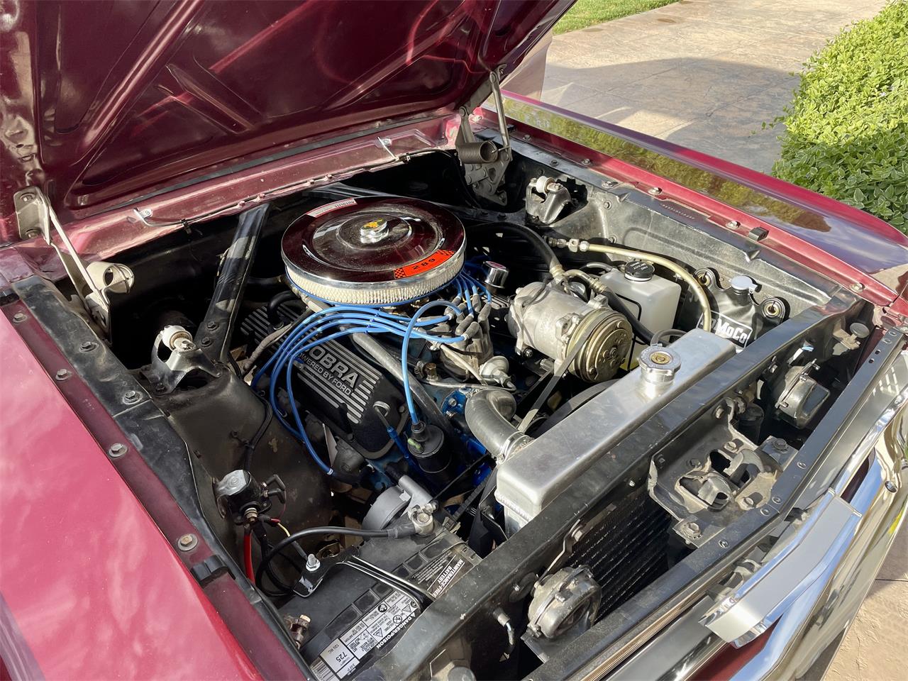 Ford-Mustang-1966-Burgundy-Burgundy-9