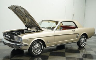Ford-Mustang-1966-Champagne-Maroon-22