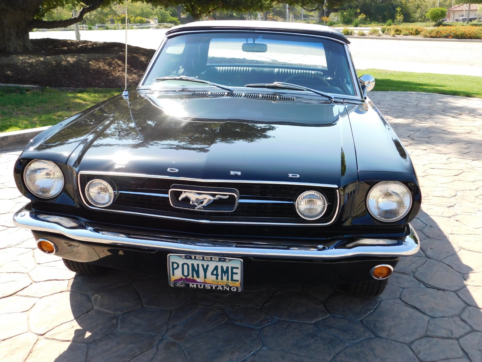 Ford-Mustang-1966-Convertible-11