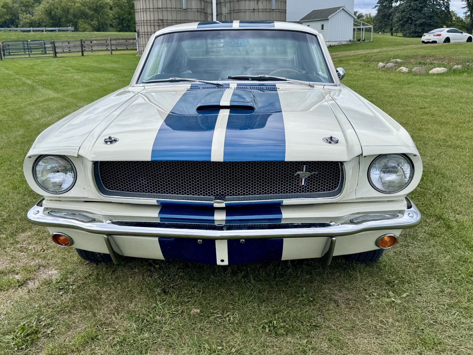 Ford-Mustang-1966-Fastback-1