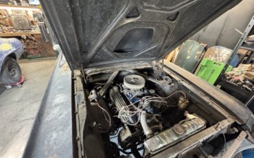 Ford-Mustang-1966-Fastback-10