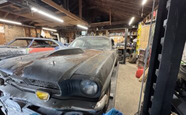 Ford-Mustang-1966-Fastback-2