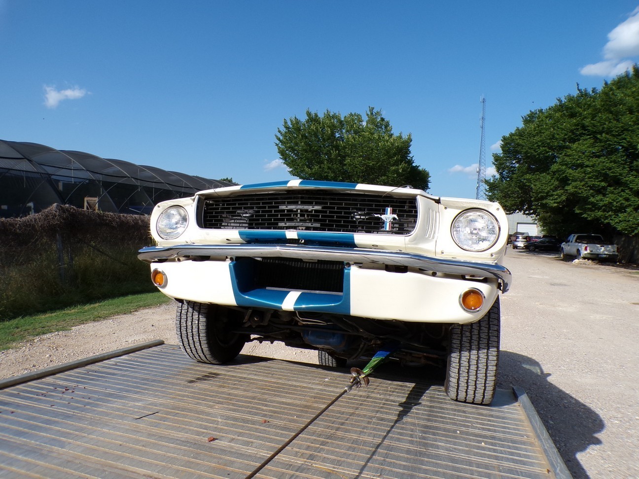 Ford-Mustang-1966-Fastback-28