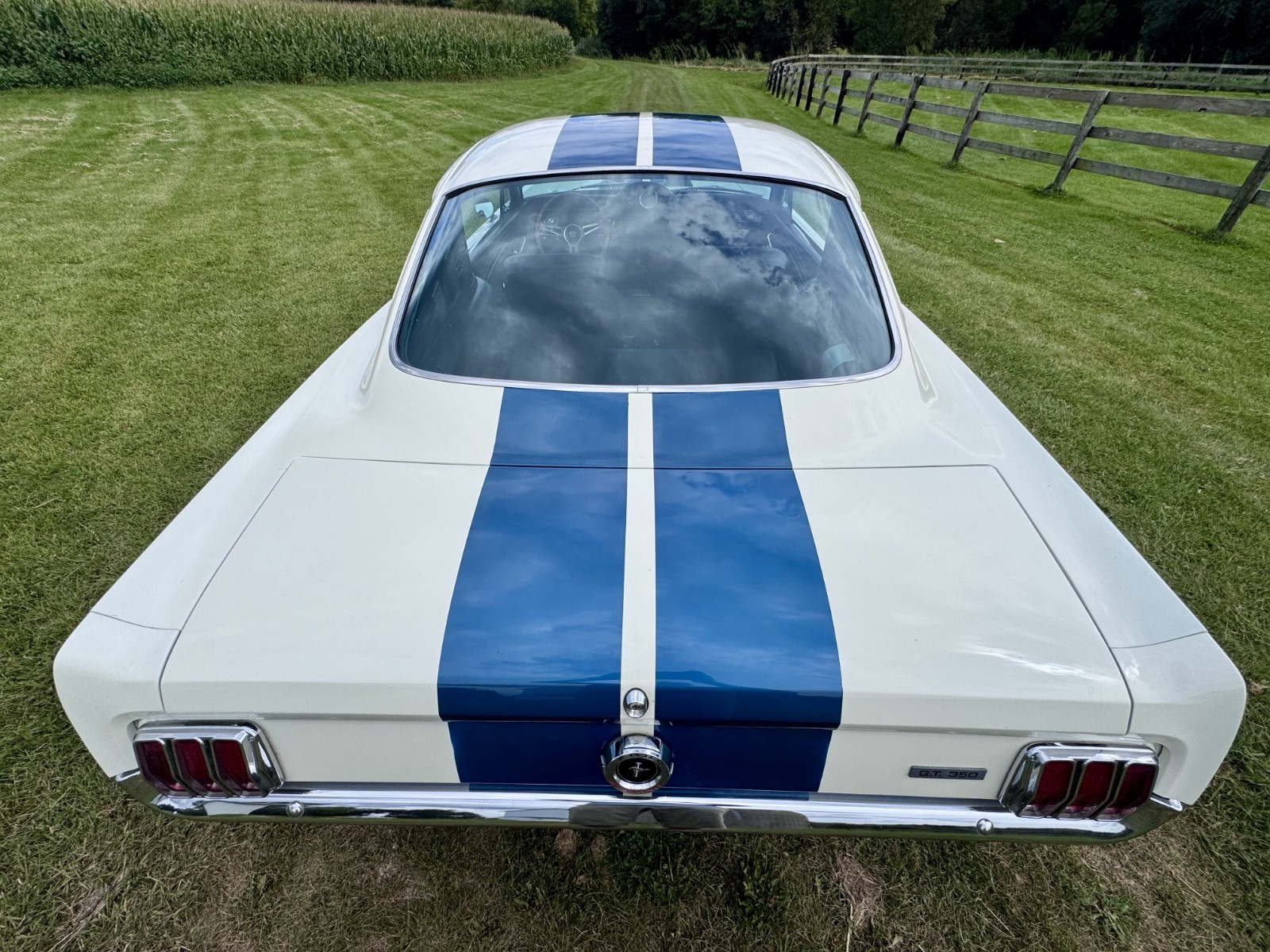 Ford-Mustang-1966-Fastback-5