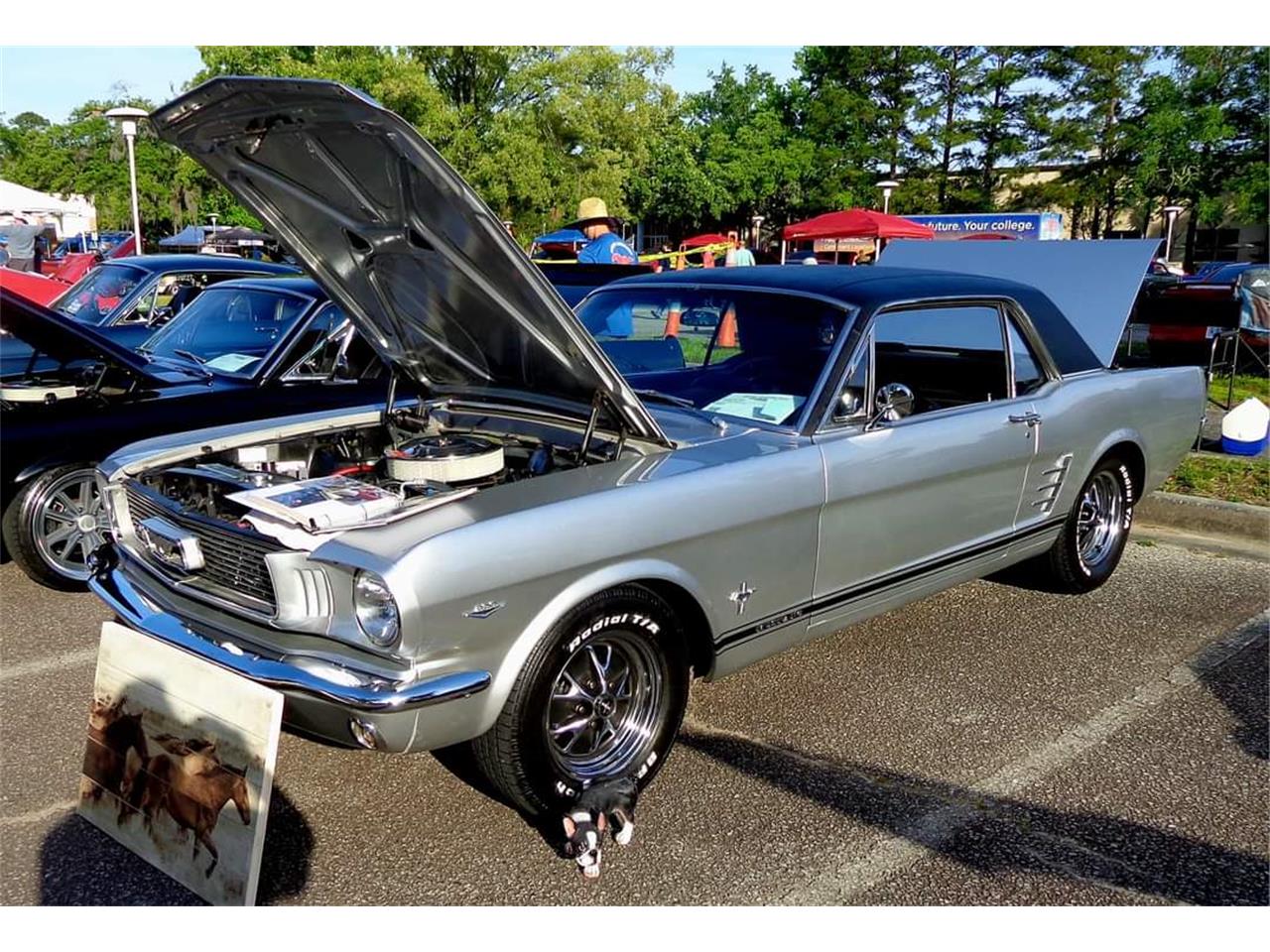 Ford-Mustang-1966-Metallic-Silver-Black-17