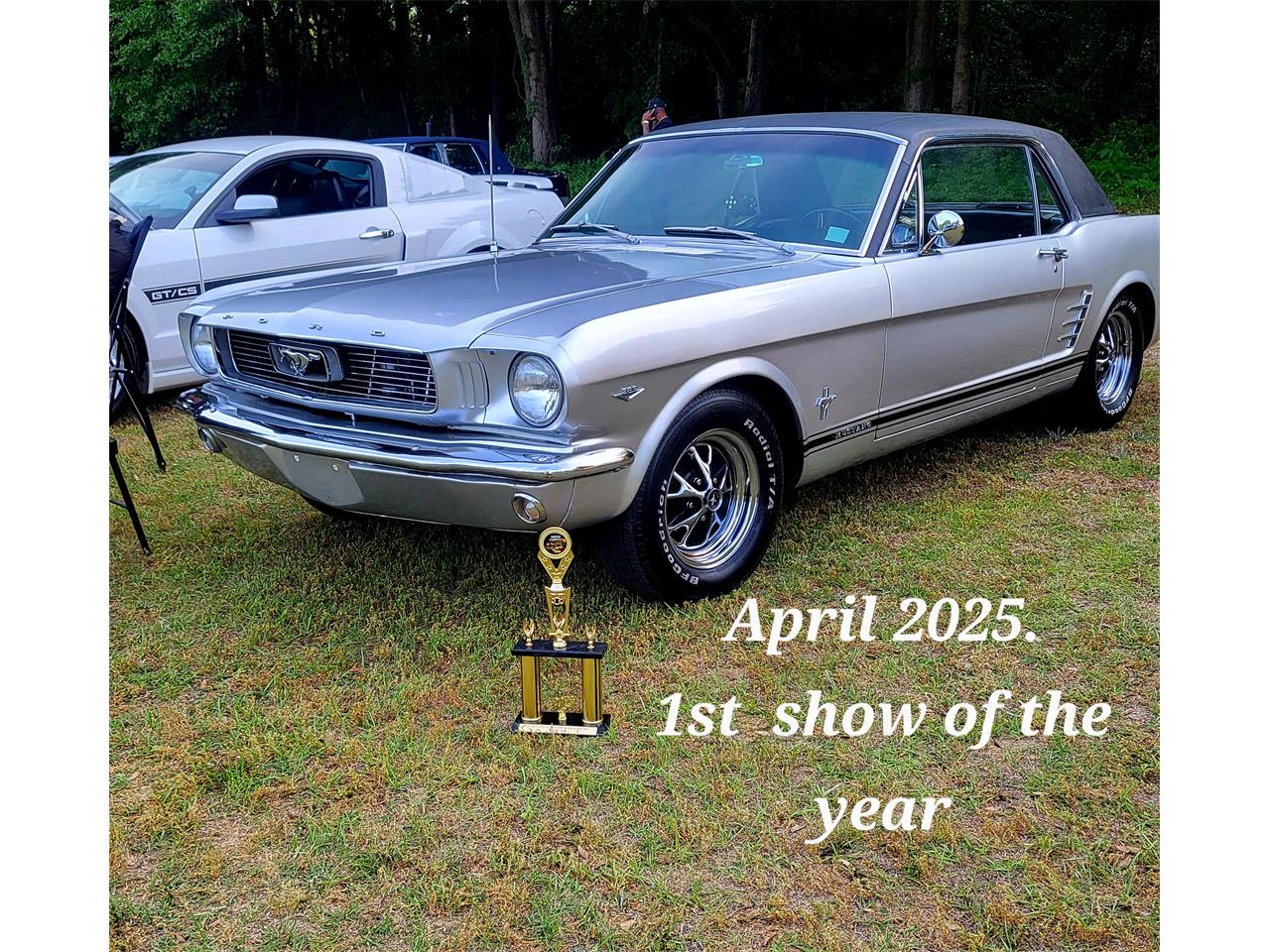 Ford-Mustang-1966-Metallic-Silver-Black-29