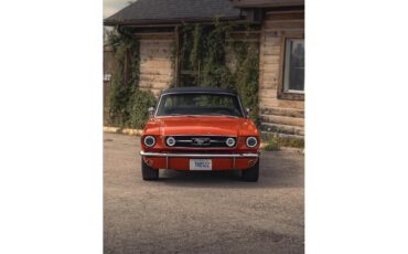 Ford-Mustang-1966-Poppy-Red-Black-1