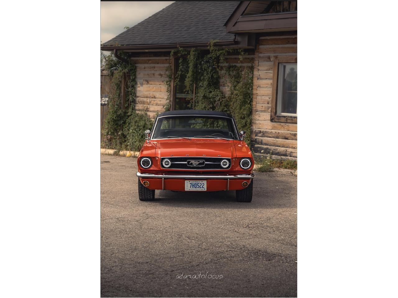 Ford-Mustang-1966-Poppy-Red-Black-1