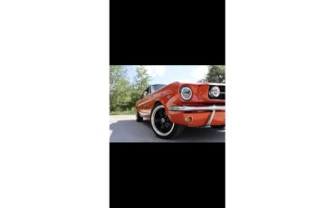 Ford-Mustang-1966-Poppy-Red-Black-15