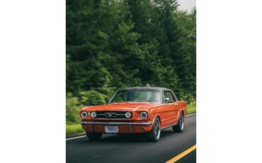 Ford-Mustang-1966-Poppy-Red-Black-2