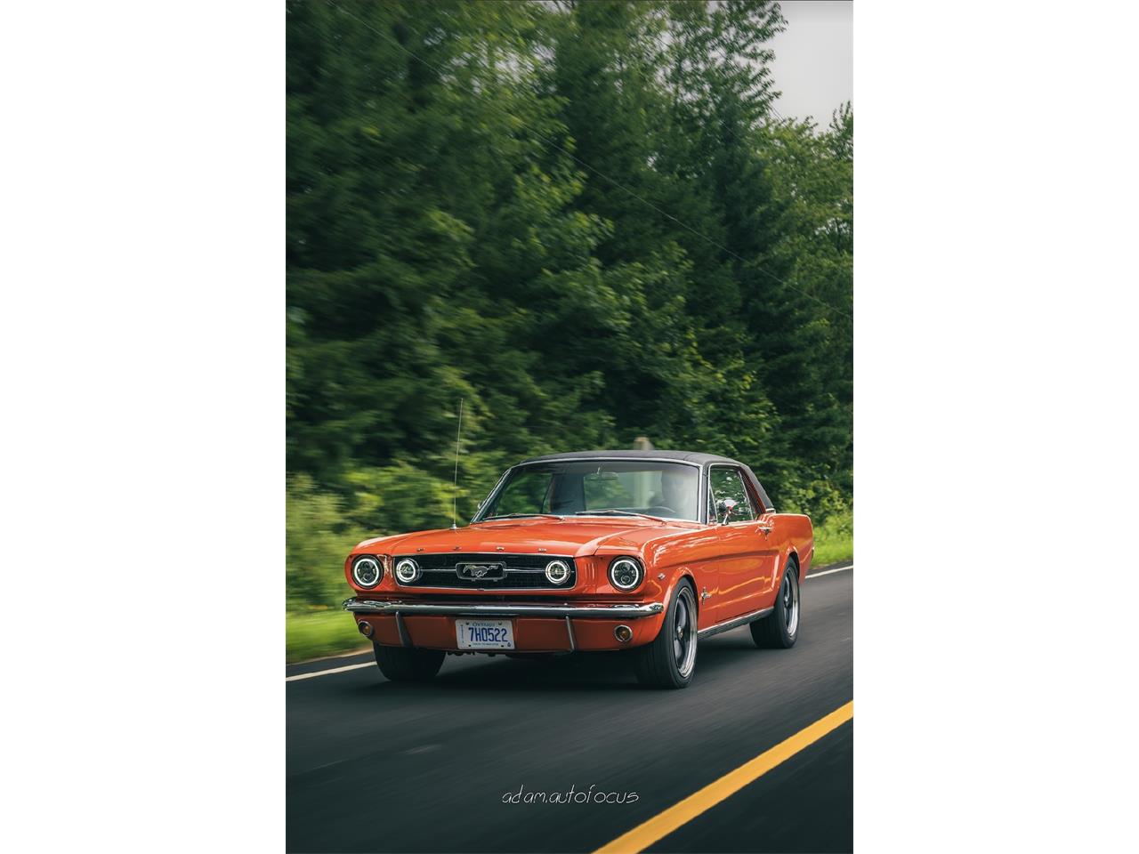 Ford-Mustang-1966-Poppy-Red-Black-2