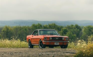 Ford-Mustang-1966-Poppy-Red-Black-25