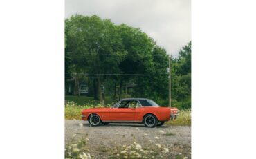 Ford-Mustang-1966-Poppy-Red-Black-3