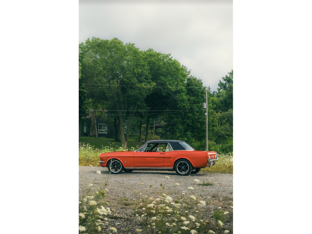 Ford-Mustang-1966-Poppy-Red-Black-3