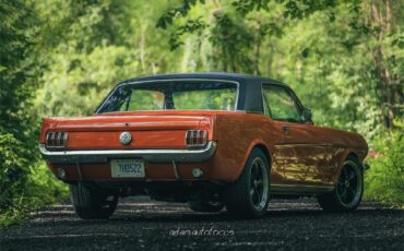 Ford-Mustang-1966-Poppy-Red-Black-4