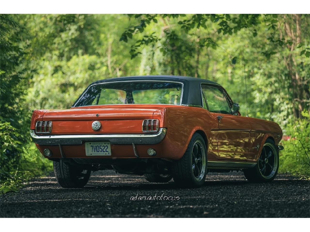 Ford-Mustang-1966-Poppy-Red-Black-4