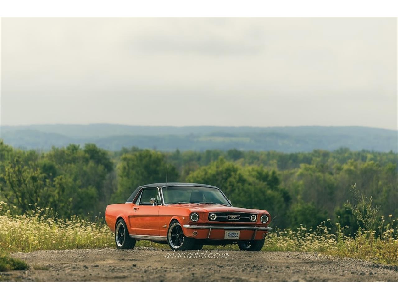 Ford-Mustang-1966-Poppy-Red-Black