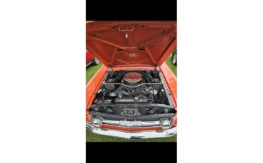 Ford-Mustang-1966-Poppy-Red-Black-8