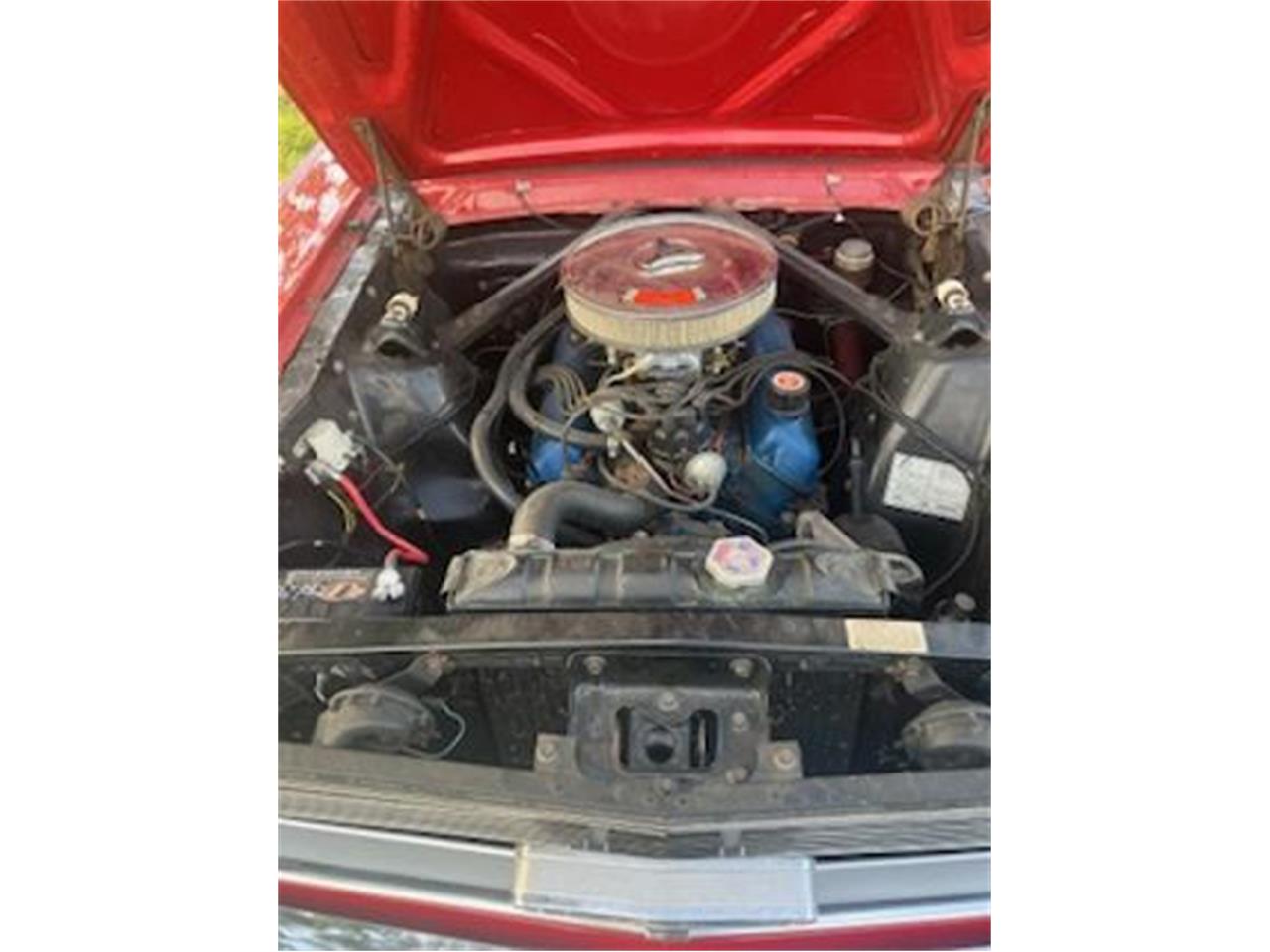 Ford-Mustang-1966-Red-Red-1