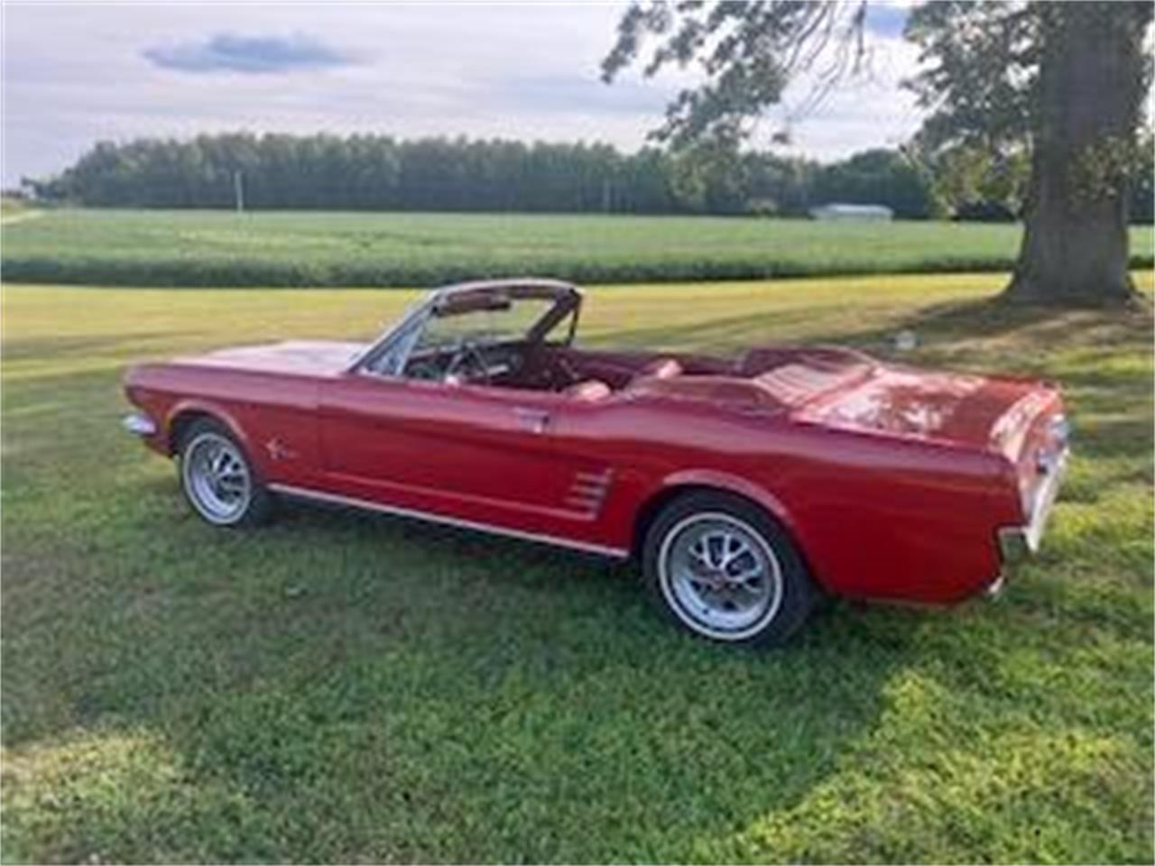 Ford-Mustang-1966-Red-Red-2