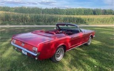 Ford-Mustang-1966-Red-Red-4